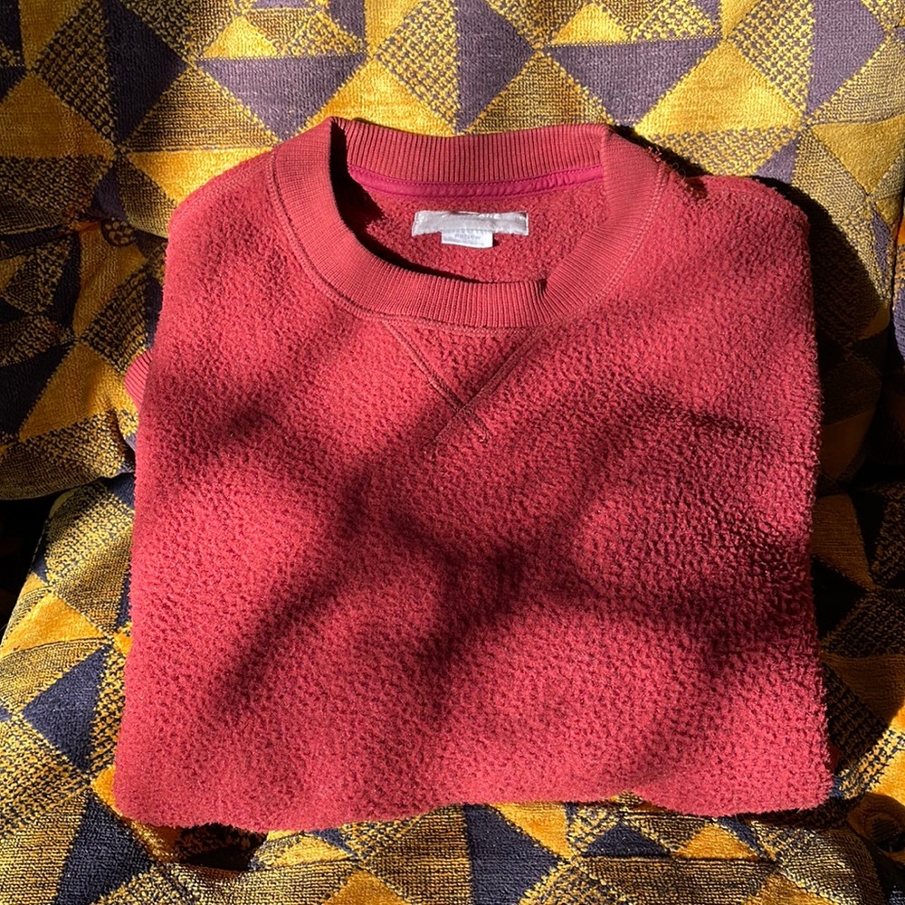 Everlane ReNew Thick Pile Sweatershirt (Men’s Small)